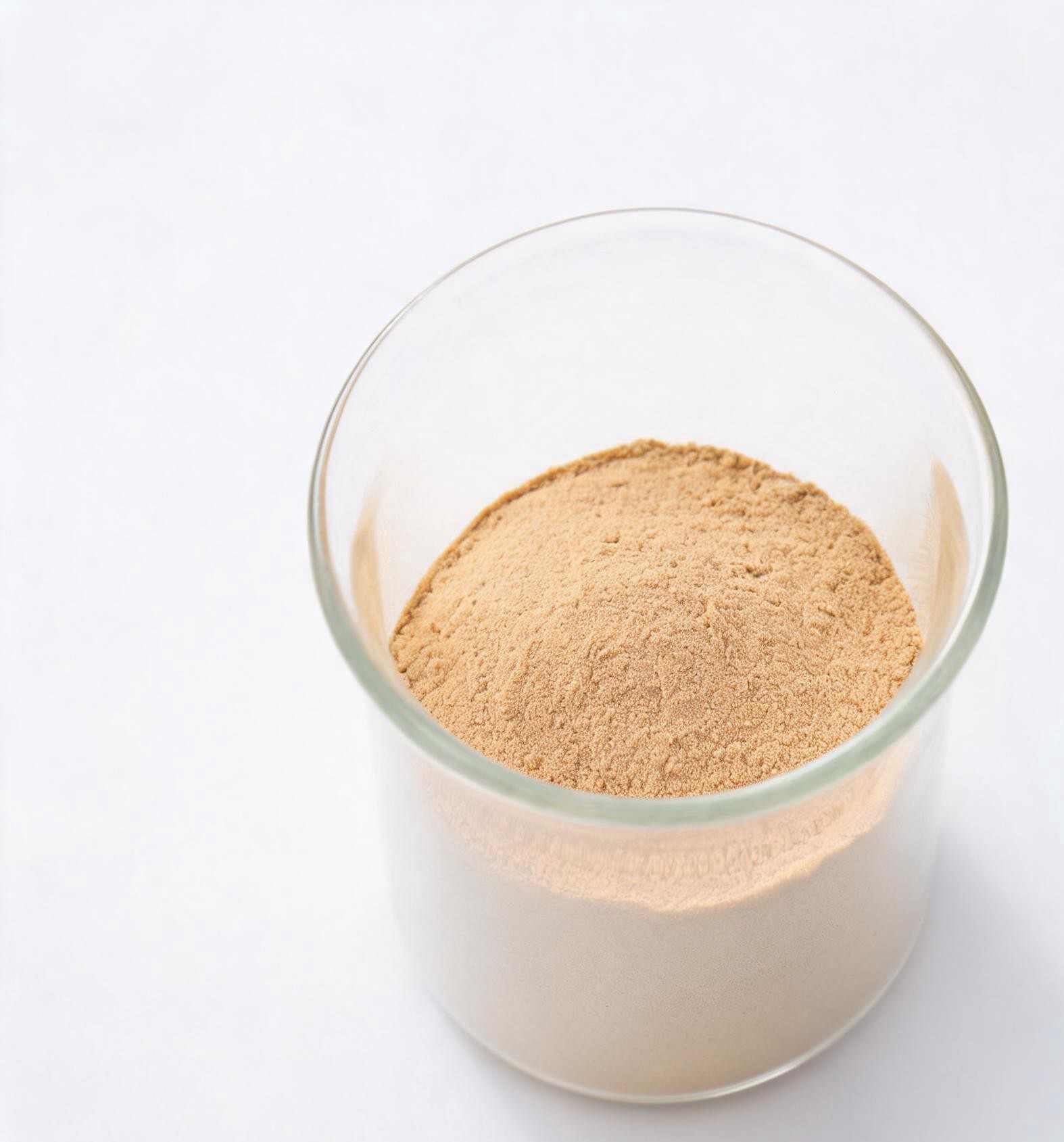 Lion's Mane Extract sourcing in Zhejiang · Longquan